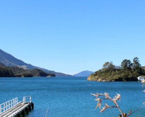 Website maintenance and support